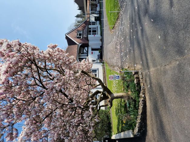 Cumnor House Girls School